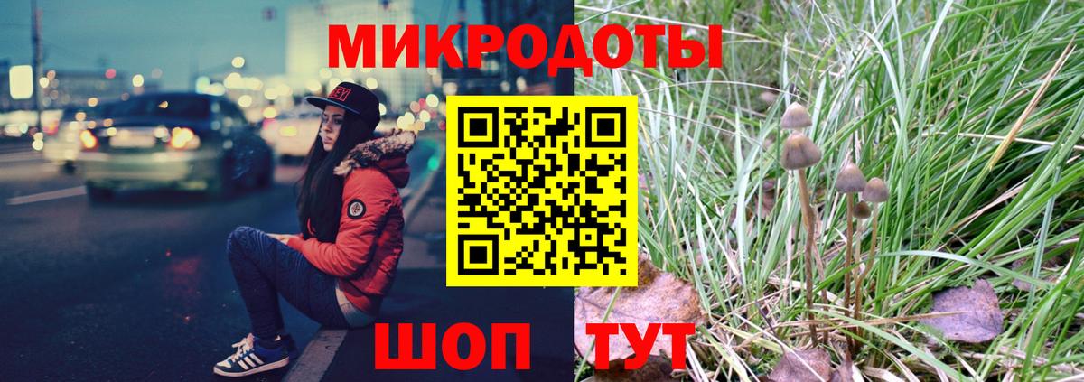 Галлюциногенные грибы Psilocybine cubensis Зеленогорск