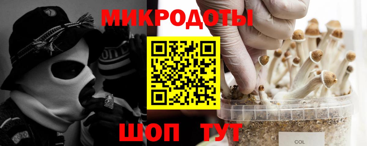 Псилоцибиновые грибы MAGIC MUSHROOMS  Галлюциногенные грибы Psilocybe  Зеленогорск  Вход с VPN 